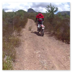 PHARAGLIONS 2015