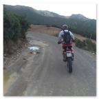 PHARAGLIONS 2015