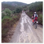 PHARAGLIONS 2015