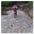 PHARAGLIONS 2015