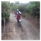 PHARAGLIONS 2015