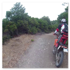 PHARAGLIONS 2015