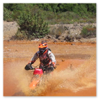 PHARAGLIONS 2015