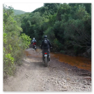 PHARAGLIONS 2021