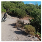 RALLY DEI FARAGLIONI 2025