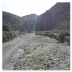 RALLY DEI FARAGLIONI ADVENTURE