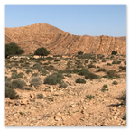 RALLY DEI FARAGLIONI ADVENTURE