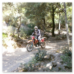 PHARAGLIONS 2011