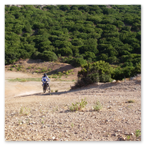 PHARAGLIONS 2006 - 2008
