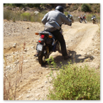 PHARAGLIONS 2006 - 2008