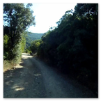 RALLY DEI FARAGLIONI 2011