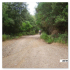 SULCIS CRASH 2009