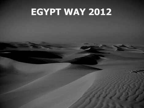 Egypt Way 2012 - Pharaglions